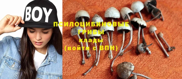 альфа пвп Армянск