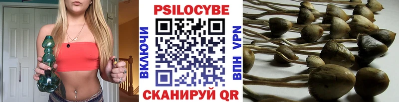 ОМГ ОМГ маркетплейс  Ейск  Псилоцибиновые грибы Magic Shrooms 